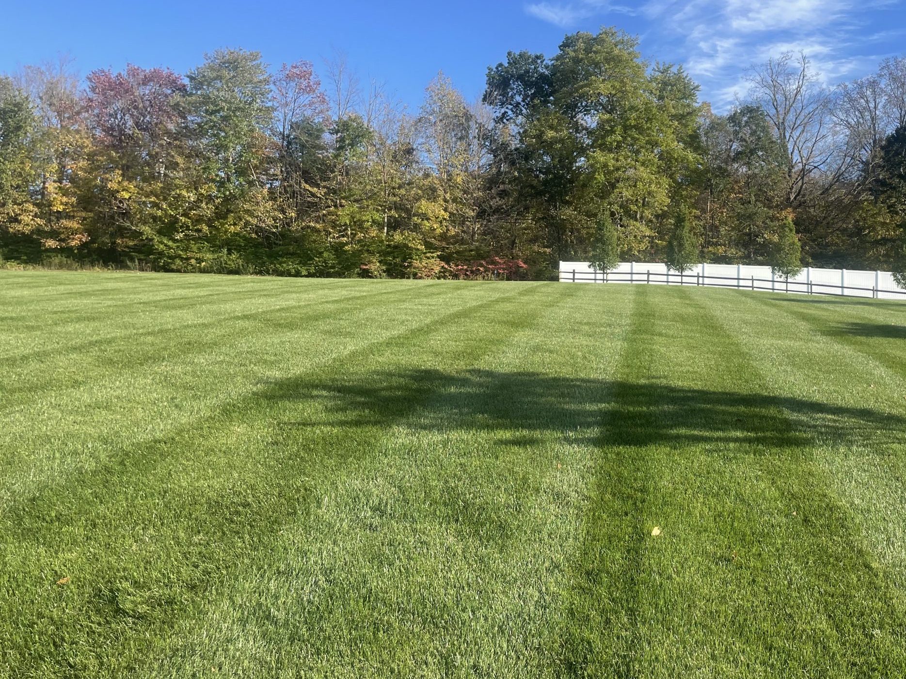 Precision mowing