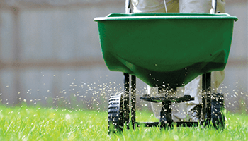 Lawn Maintenance