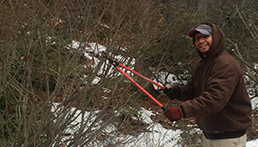 Landscape Maintenance