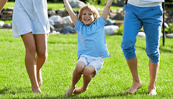 Organic Lawn Care